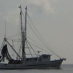 Meet your Posher, Marlo